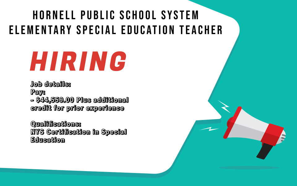 2023016 Elementary Special Education Teacher Hornell Partners for Growth